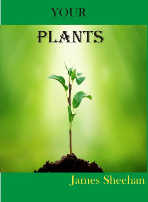Your Plant